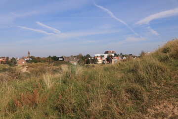In den Dünen von Zandvoort in Nordholland