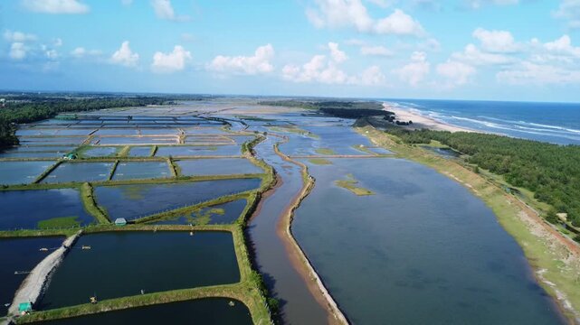 Fish farming ponds near a sea in INDIA.