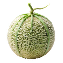 Cantaloupe Melon With Intricate Netting Pattern on Black Background fruit food isolated on a transparent background