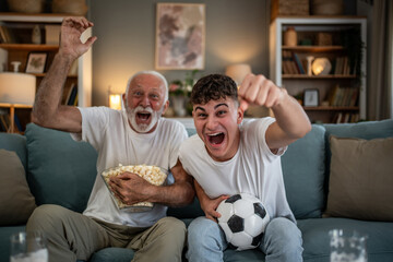 Grandfather and grandson cheering soccer match together