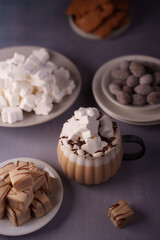 cozy arrangement of hot chocolate with marshmallows, cookies, candies, and decorative delights in soft earthy and cream tones on a neutral background, composition, blur, touch, layered, foamy