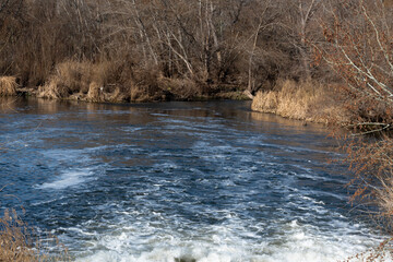 Elevated metal walkway through bare winter trees leading into sunlight, representing travel, direction, and adventure.