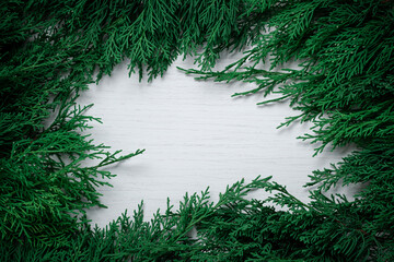 Green Evergreen Branches Border Frame Texture