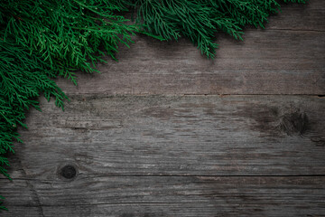 Green evergreen cypress branches diagonally framing rustic dark weathered wooden back