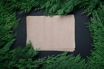 Stack of blank craft paper sheets framed by green cypress branches on dark back