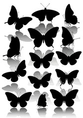 Collection of Black Butterfly Silhouettes with Reflective Shadows.