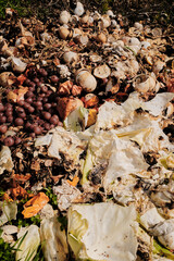 Pile of organic compost waste with eggshells, vegetables, and fruit scraps decomposing on a grassy surface outdoors