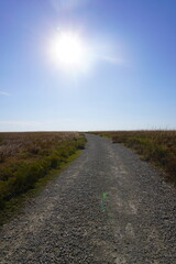 Dirt road across open grassland under blue sky