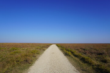 Dirt road across open grassland under blue sky