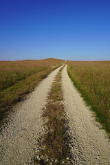 Dirt road across open grassland under blue sky