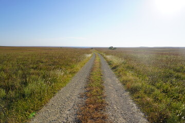 Dirt road across open grassland under blue sky