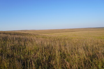 Obraz premium Kansas Prairie under blue sky