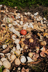Pile of organic compost waste with eggshells, vegetables, and fruit scraps decomposing on a grassy surface outdoors