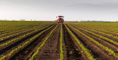 Tractor spraying crops in a lush green field at sunset.