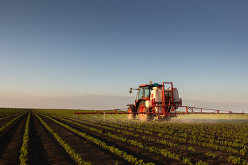 Tractor spraying crops in a lush green field at sunset.