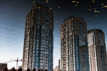 Fototapety na wymiar - Fototapeta24.pl