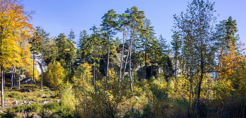 Autumn forest and rocks under a blue sky on a sunny day. Panorama. Cat Rocks, Czech Republic