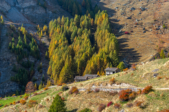 Nel vallone di Colombata (Acceglio-Valle Maira) in un pomeriggio di autunno