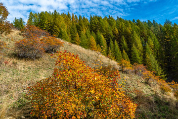Nel vallone di Colombata (Acceglio-Valle Maira) in un pomeriggio di autunno