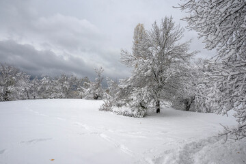 Panorama of South Park in city of Sofia, Bulgaria
