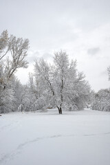 Panorama of South Park in city of Sofia, Bulgaria