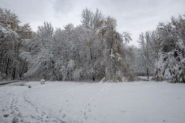 Panorama of South Park in city of Sofia, Bulgaria