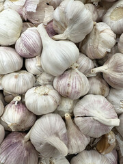 Bountiful pile of fresh garlic bulbs with papery white skins, subtle purple hues, and green stems, evoking rustic farm-fresh abundance in a close-up view