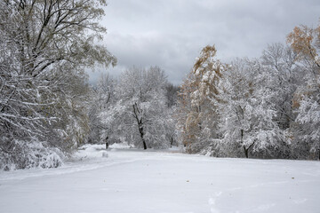 Fototapeta premium Panorama of South Park in city of Sofia, Bulgaria