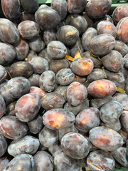 Heap of ripe purple plums in a green plastic crate, displaying glossy deep blue-black skins with subtle red undertones and fresh, juicy appeal from the harvest