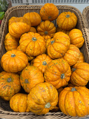Cluster of small, vibrant orange mini pumpkins nestled in a rustic wicker basket, with textured skins evoking autumn harvest warmth and seasonal charm