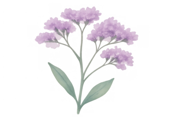 Purple watercolor flower illustration with green leaves, blooming floral design element on transparent background