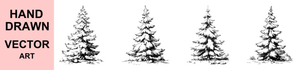 Pine tree forest hand drawn vector illustration, detailed evergreen conifer tree art, black and white nature landscape outline drawing for outdoor scene, camping and mountain design