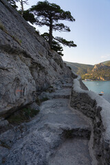 Fototapete bei efototapeten.de bestellen   