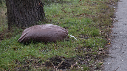 Brown leaf waste bag on grass near sidewalk in autumn park