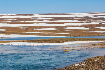 Bank of River Bunisyak. Polar day on Putorana Plateau, Krasnoyarsk Territory. Russia
