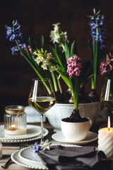 Spring elegant wedding or Easter celebration table decor. Festive white china, floral decoration with blooming bulbous hyacinth. Dark background. Springtime home gardening
