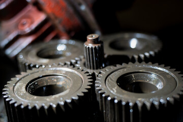 Fototapete bei efototapeten.de bestellen   