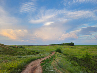 nature of Russia. Endless dirt road stretching toward horizon. life's journey, unknown adventures, and the peaceful solitude of open rural landscapes.