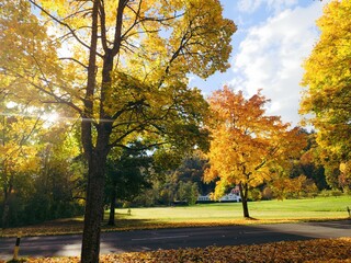 Ein Park im Herbst an einem sonnigen Tag