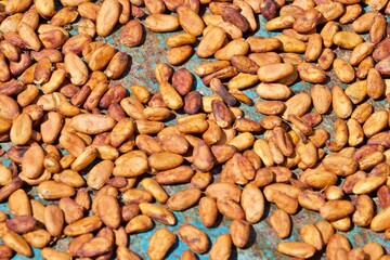 Kakaobohnen trocknen in der Sonne