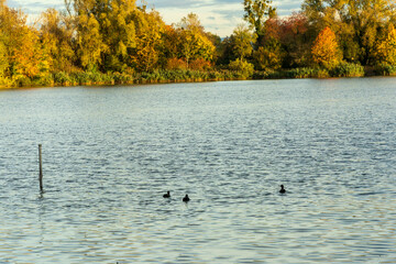 Couleurs d’automne au cœur de Strasbourg