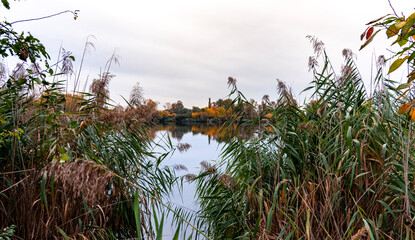 Couleurs d’automne au cœur de Strasbourg