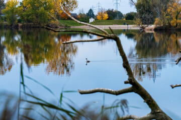 Couleurs d’automne au cœur de Strasbourg