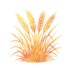 Obraz premium Yellow wheat object. Hand drawn. Not AI, vector illustration.
