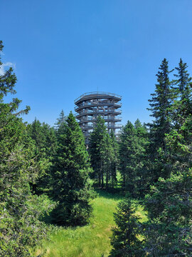 Observation tower in green forest. Rogla. Pohorje Mountains. Slovenia
