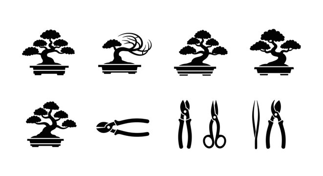 Elegant bonsai trees and essential shaping tools for serene garden art and mindful cultivation