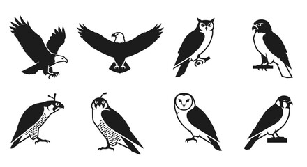 Obraz premium Majestic birds of prey collection featuring eagles, owls, and falcons in dynamic poses