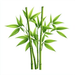 Fototapeta premium Fresh Green Bamboo Stems with Lush Leaves for Nature and Wellness Themes
