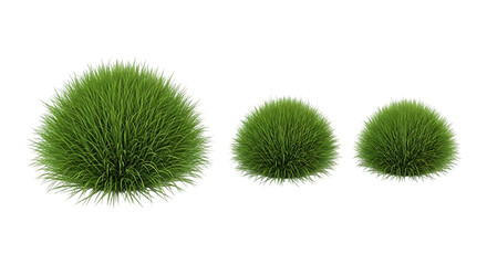 Obraz premium Three round green bushes of varying sizes isolated on transparent background