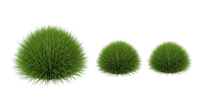Three round green bushes of varying sizes isolated on transparent background